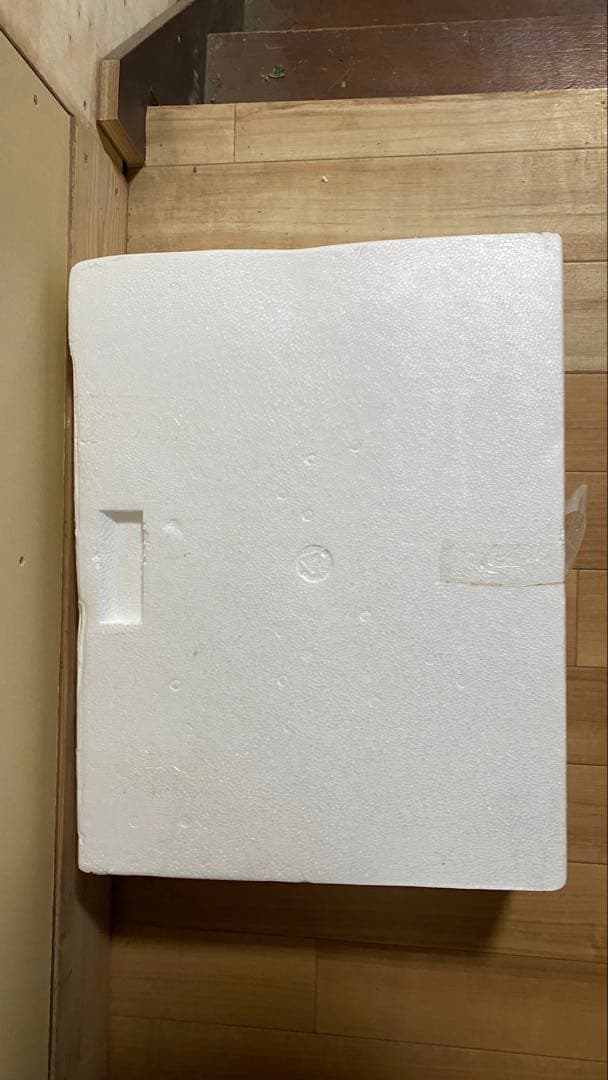 ロッキングホース ダークブラウン新品未使用品‼︎