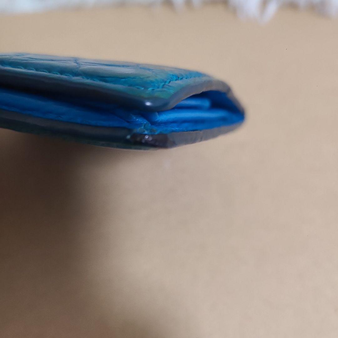 池田工芸　クロコダイル　ワニ革　ケース　稀少カラー