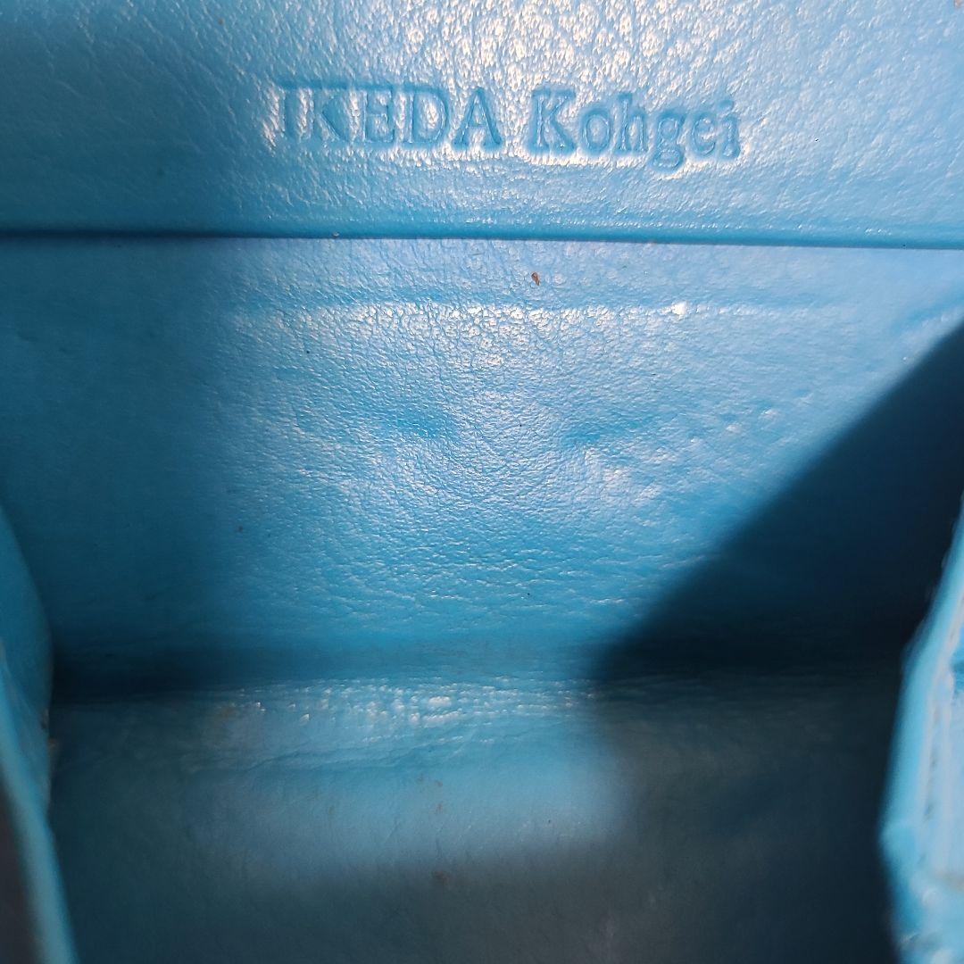 池田工芸　クロコダイル　ワニ革　ケース　稀少カラー