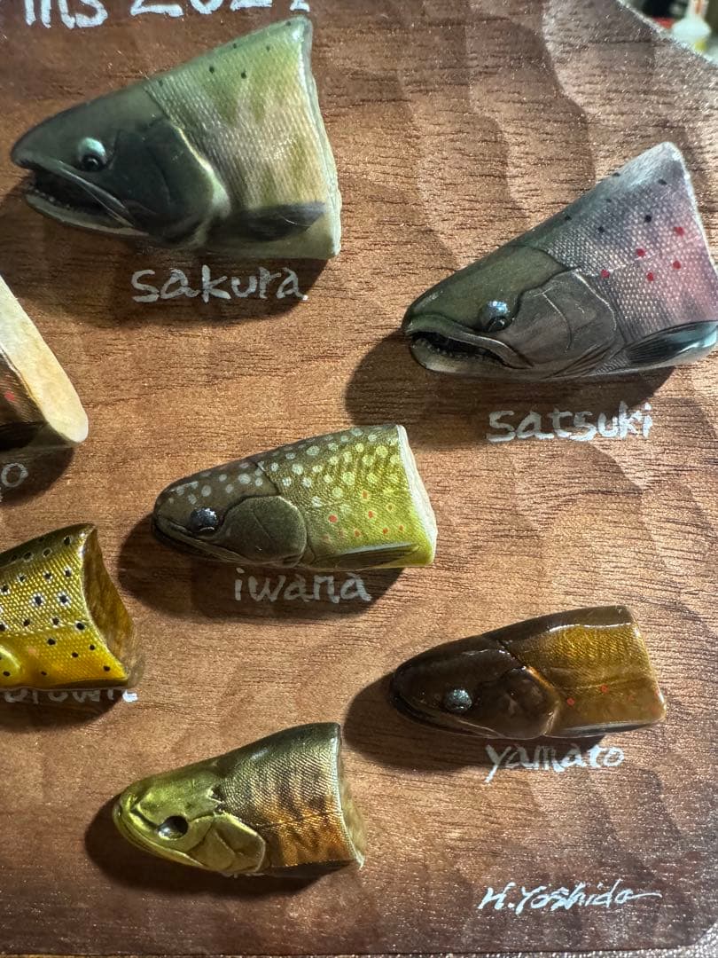 魚類模型作家 吉田光　2024トラウトベビーピンズ（婚姻色）フルコンプ