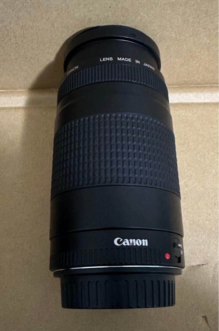 超望遠レンズ☆Canon EF 75-300㎜ 1:4-5.6 Ⅱ