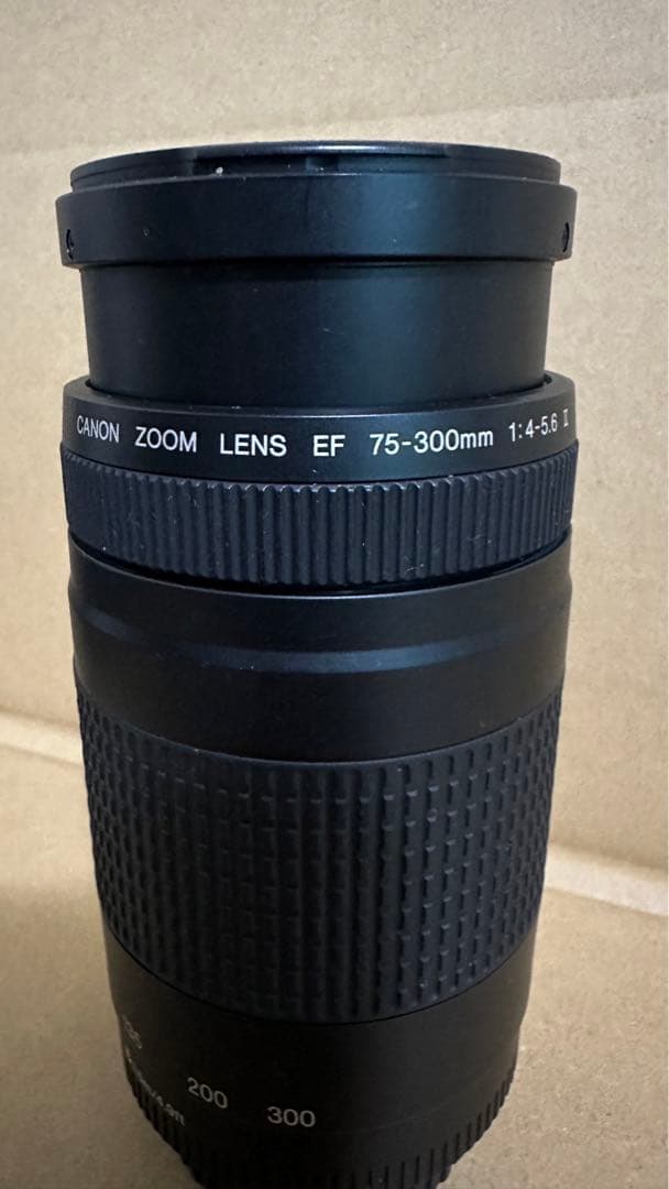 超望遠レンズ☆Canon EF 75-300㎜ 1:4-5.6 Ⅱ