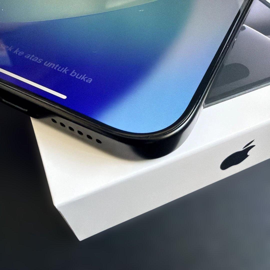 iPhone16 Pro MAX（256GB）