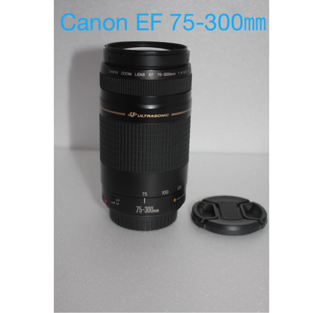 イベント☆キャノン☆大迫力の300㎜☆Canon EF75-300㎜