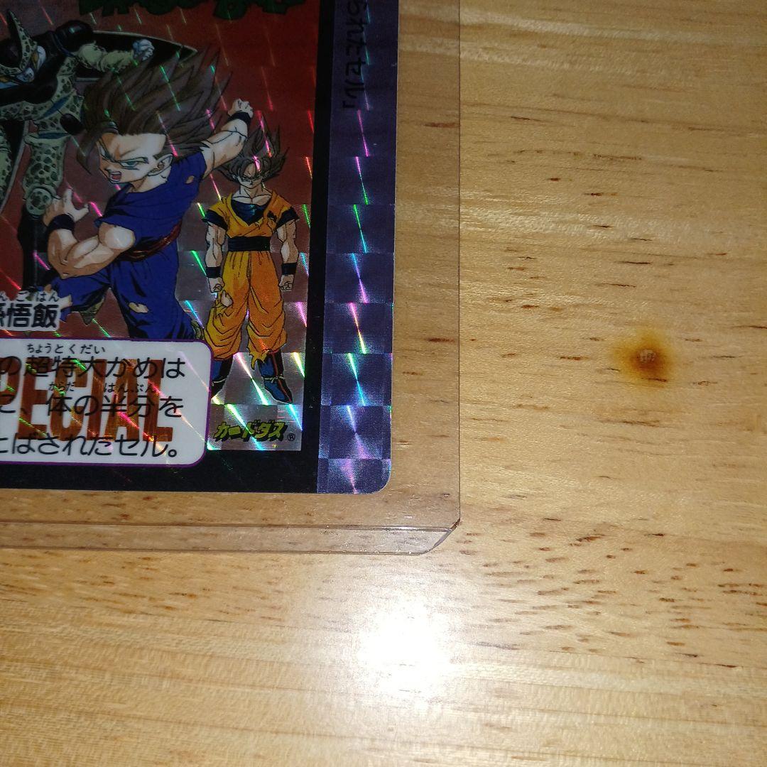 す*ど様 【ドラゴンボール】めちゃんこプロジェクトNo.10 孫悟飯