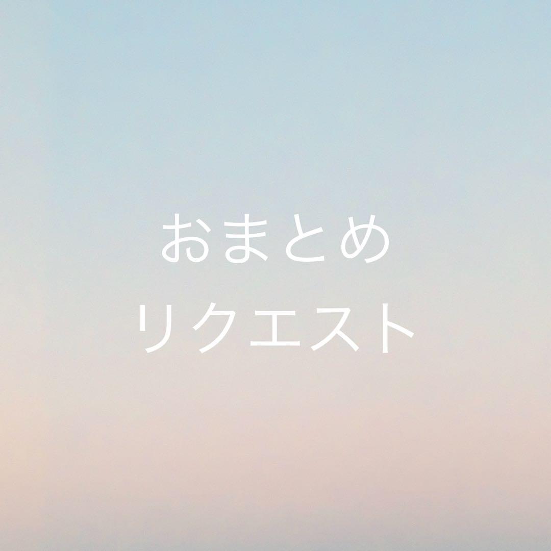 苺桃柿蜜柑様 リクエスト 4点 まとめ商品