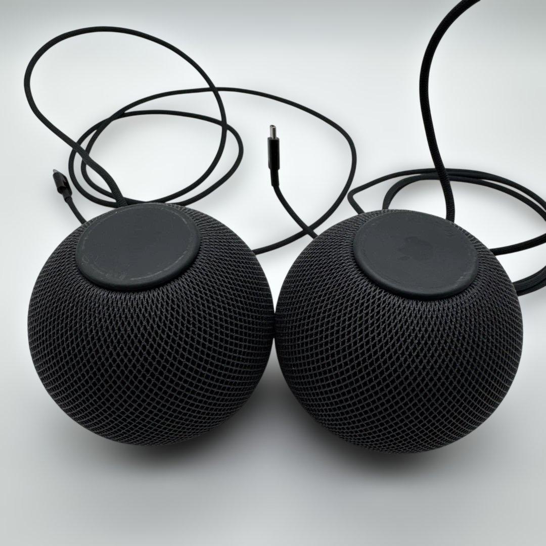 Apple Pod mini 2台セット