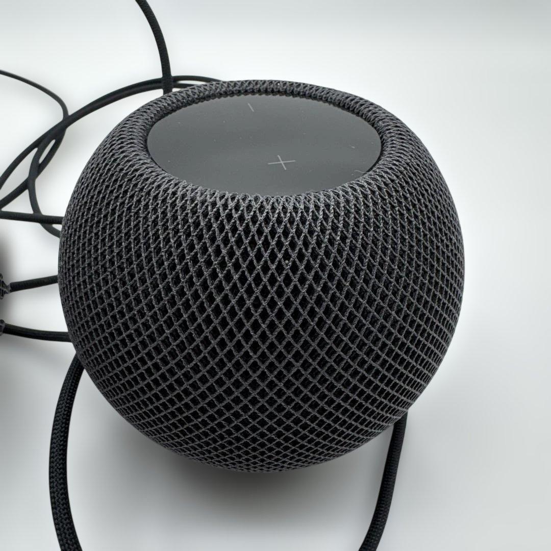 Apple Pod mini 2台セット