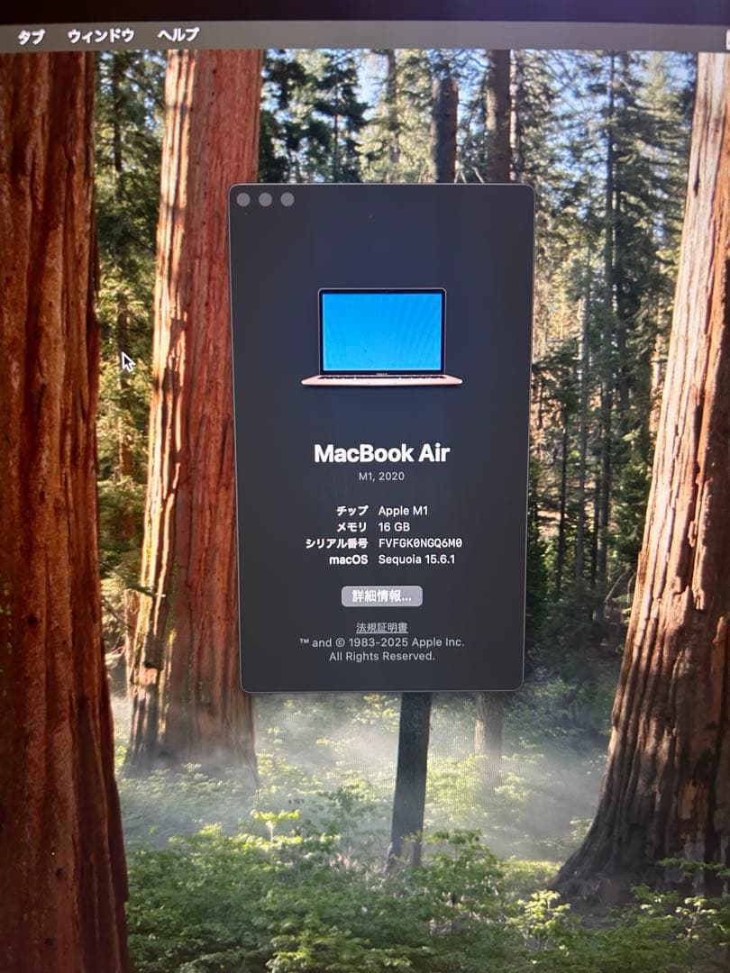 MacBook Air 2020 M1 13インチ 16GB 256GBゴールド