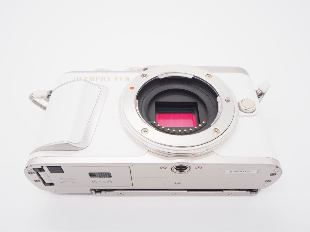 ◾︎S数966回◾︎OLYMPUS PEN E-PL9 レンズキット14-42