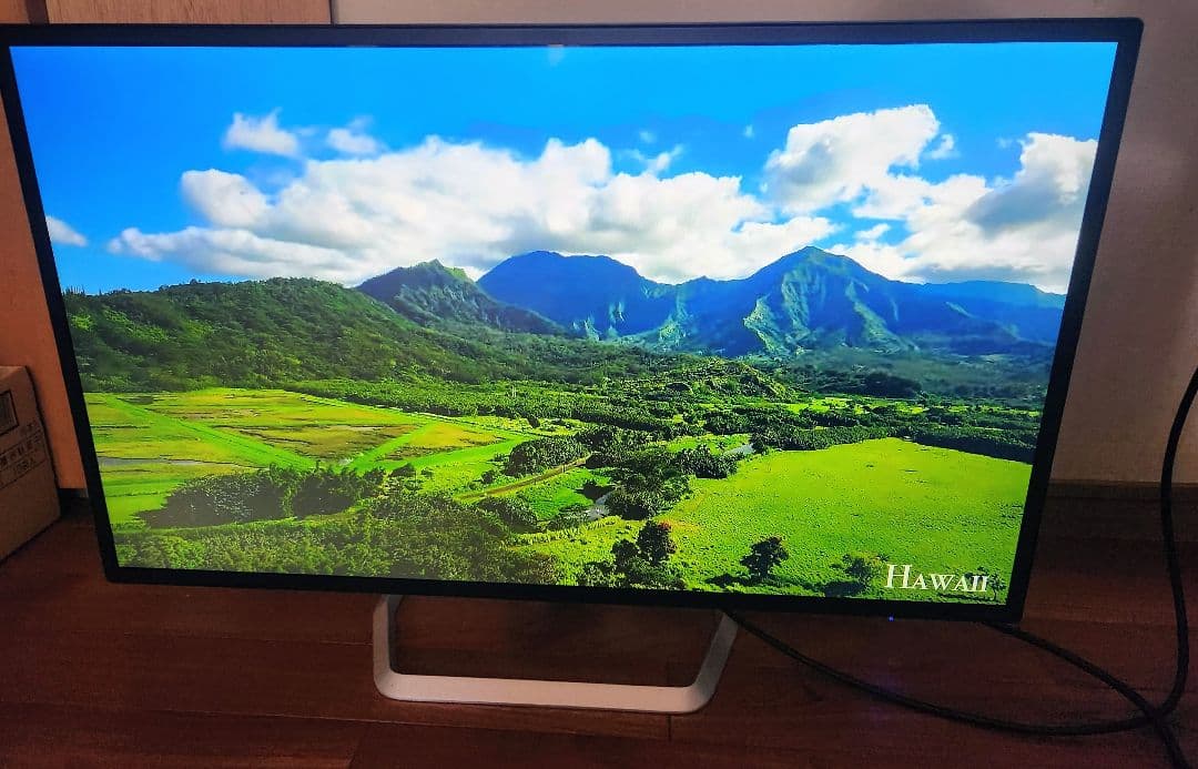 値下げ IODATALCD-DF321XDB 31.5インチ 液晶ディスプレイ