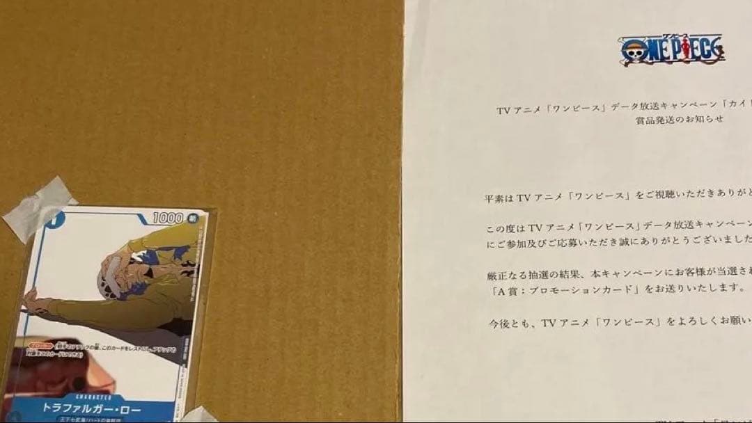 アニワンプロモ当選版 カイドウに挑めTV限定当選紙付き