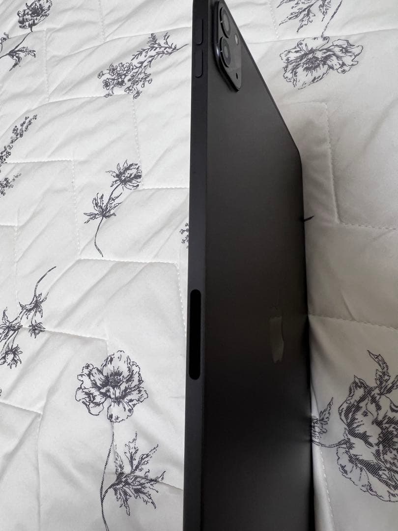 iPad Pro 11インチ 第2世代 +Apple Pencil