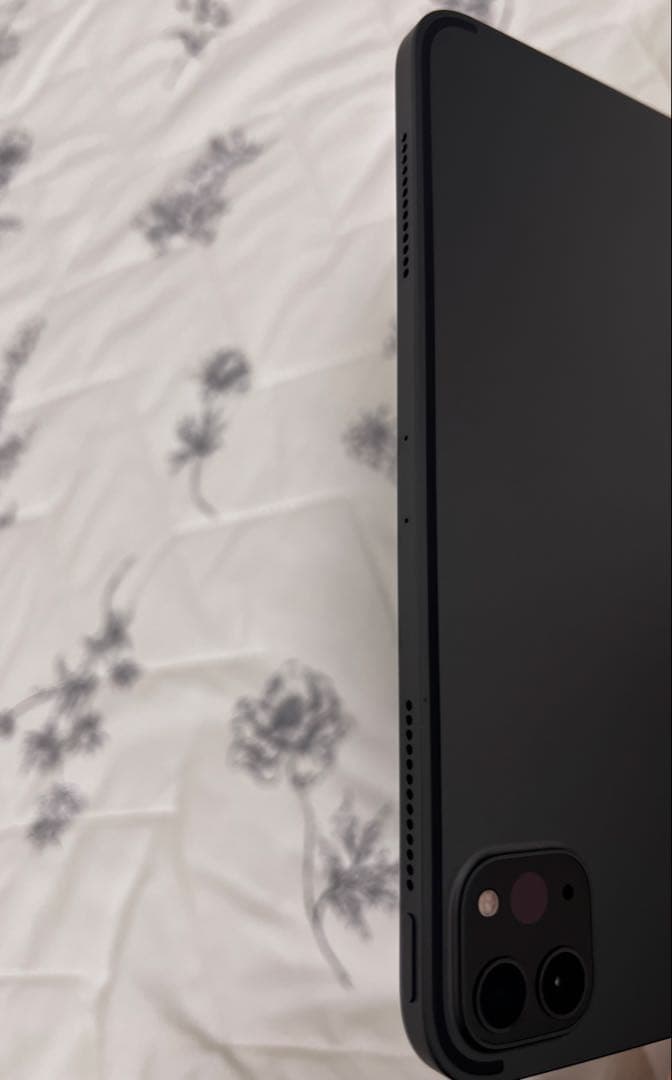 iPad Pro 11インチ 第2世代 +Apple Pencil