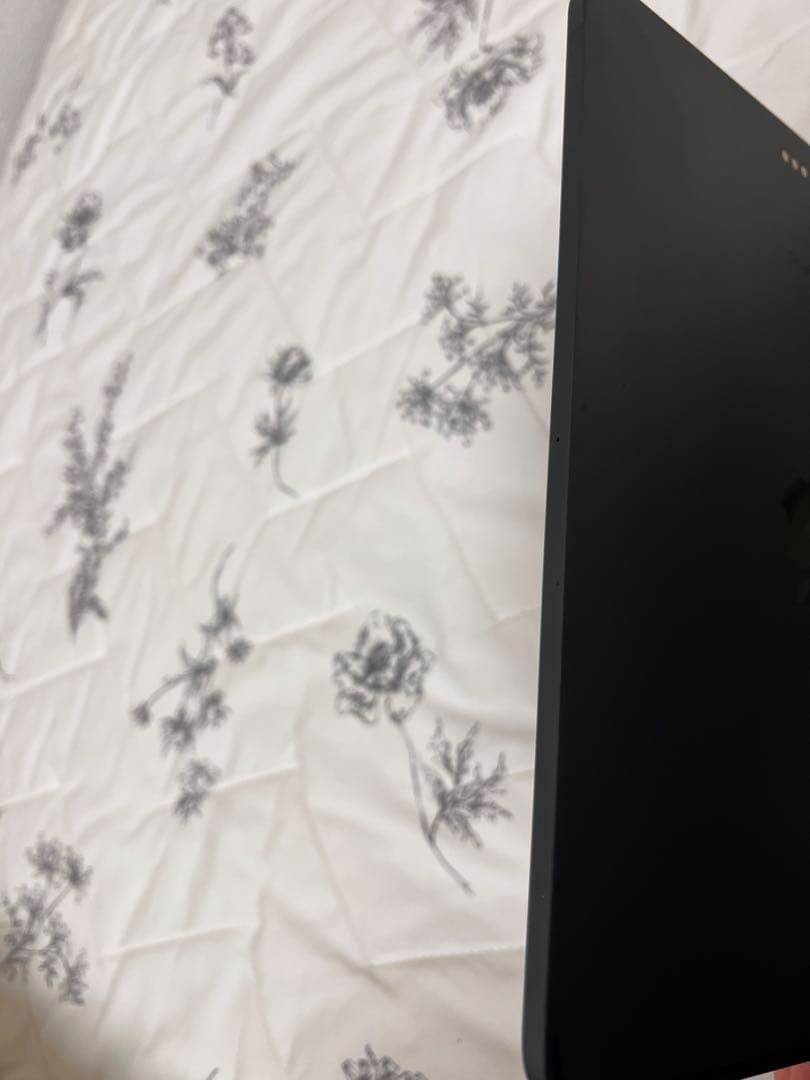 iPad Pro 11インチ 第2世代 +Apple Pencil