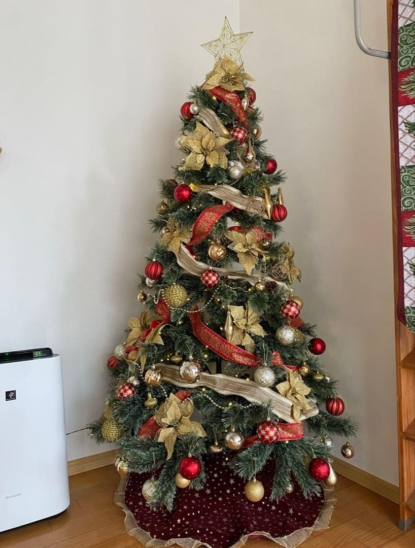 クリスマス Saya