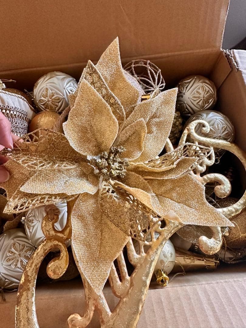 クリスマス Saya