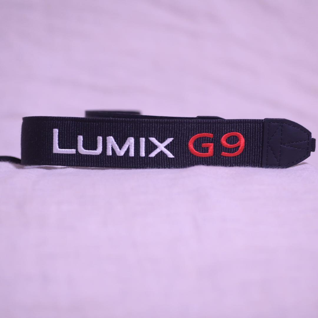 LUMIXG9 PRO ショット数　135回