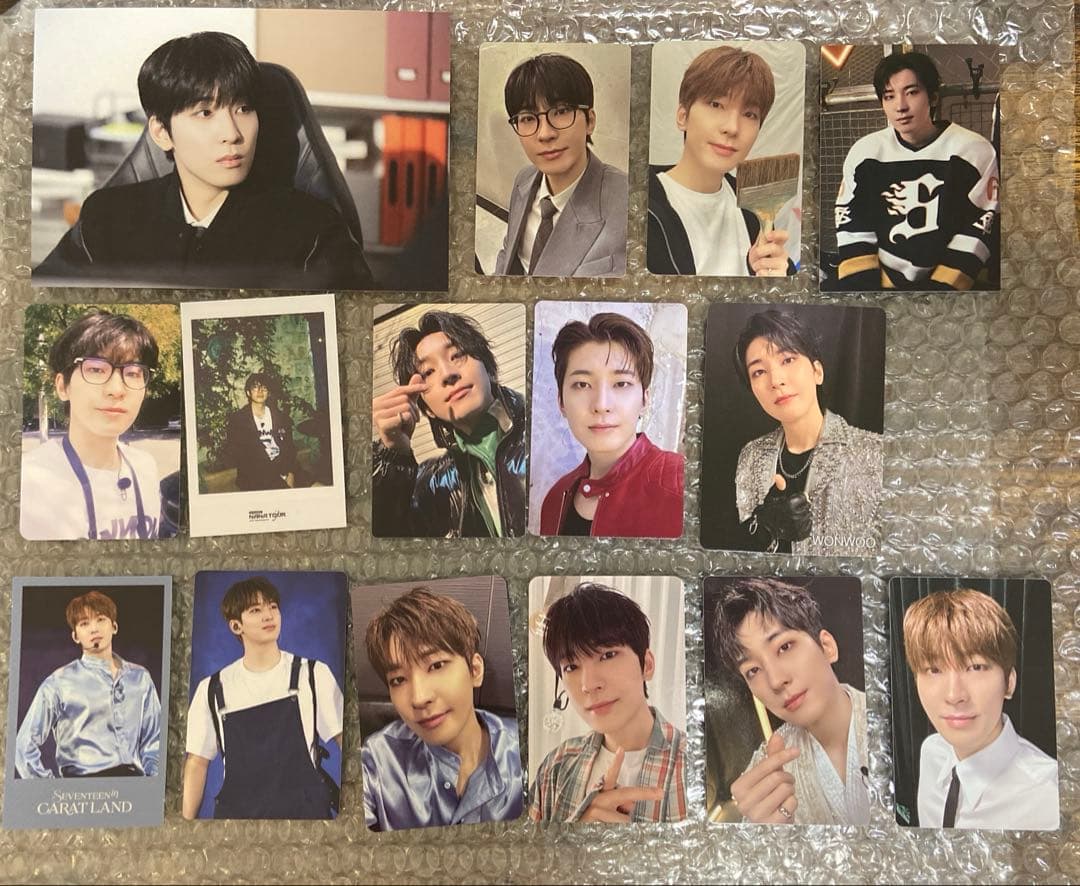 SEVENTEEN セブチ ウォヌ WONWOO 封入 特典 トレカ セット