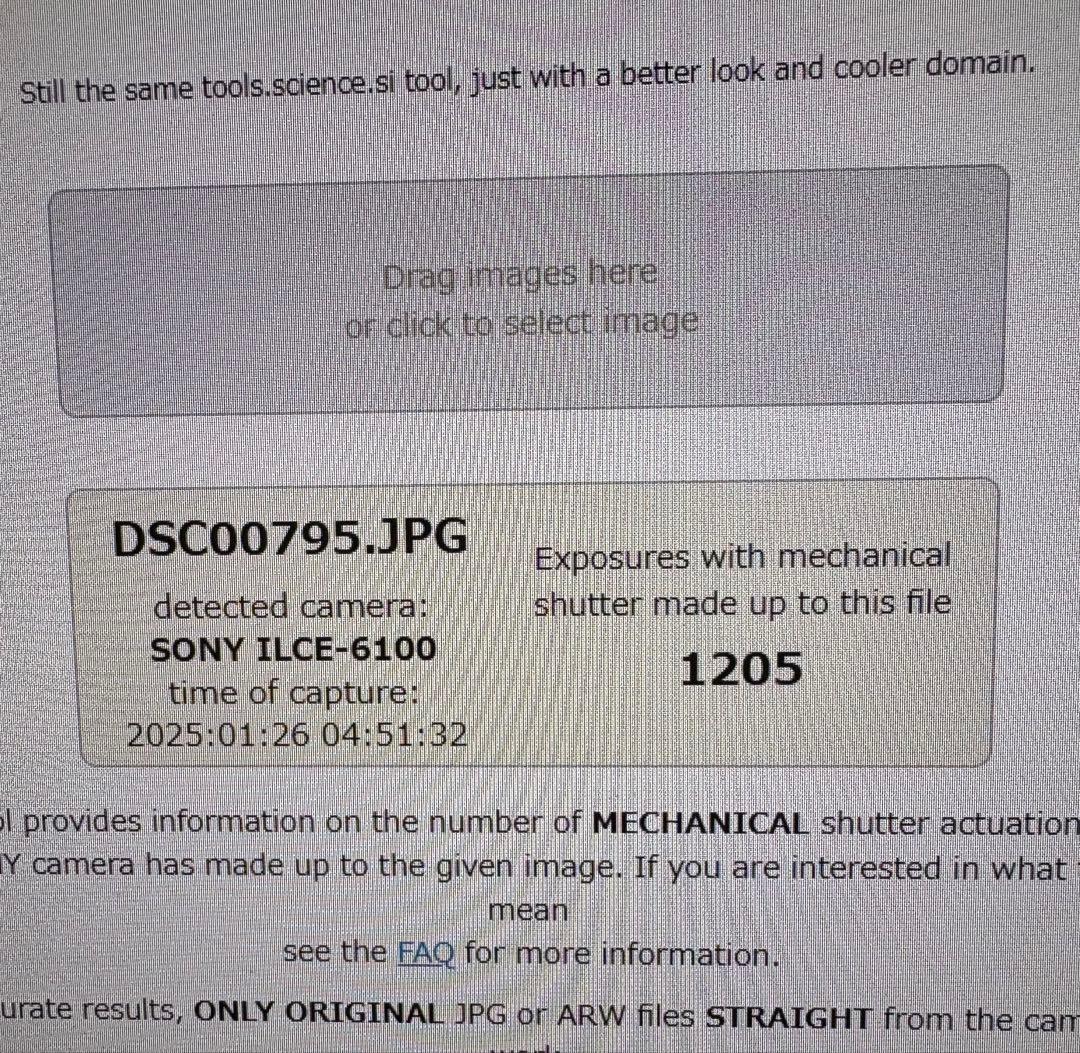 ★極上品★S数1205回　ソニー　SONY α6100 ダブルズームレンズキット
