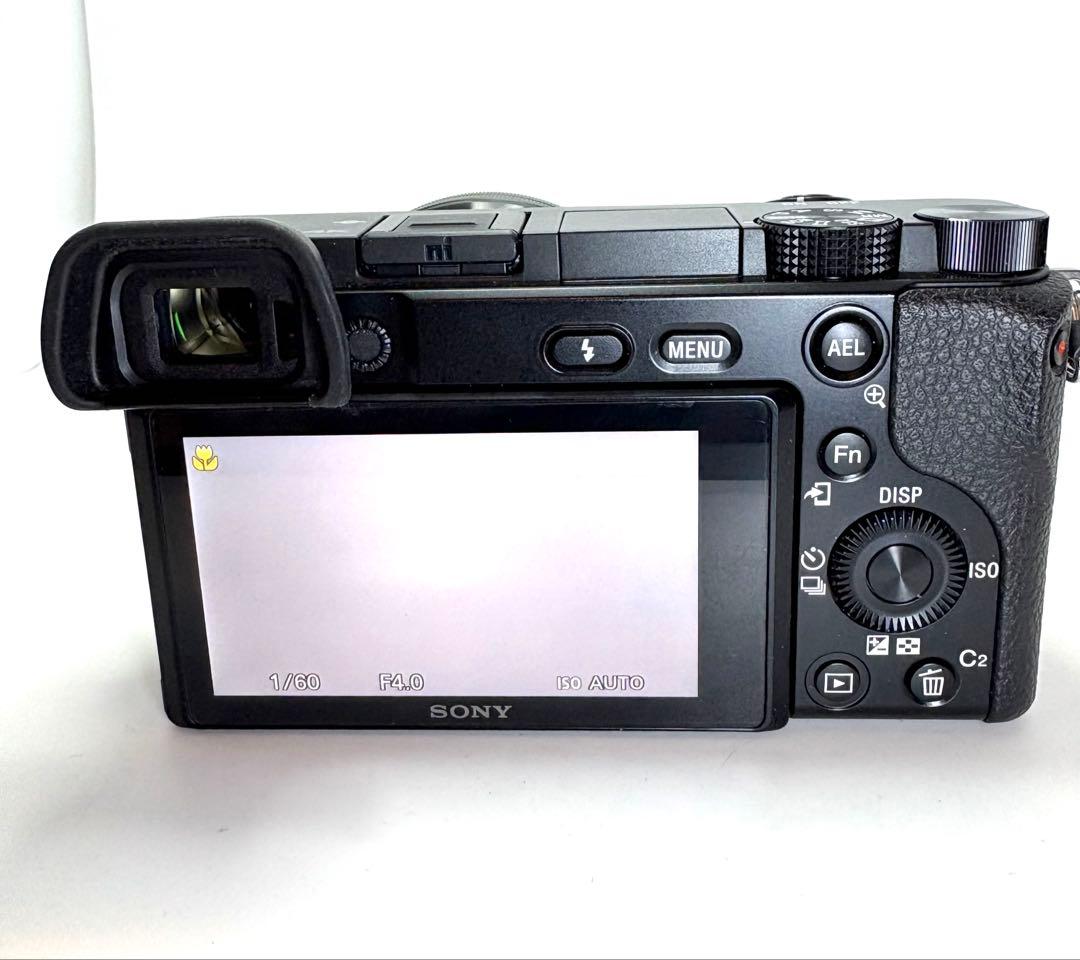 ★極上品★S数1205回　ソニー　SONY α6100 ダブルズームレンズキット