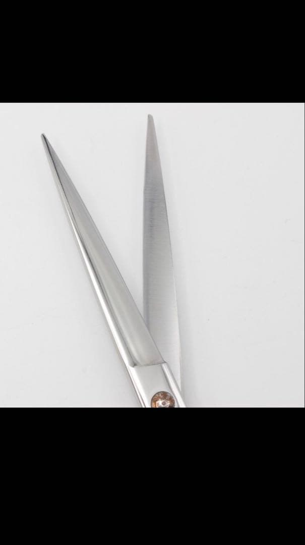 柳生覇王プレートシザー7インチ