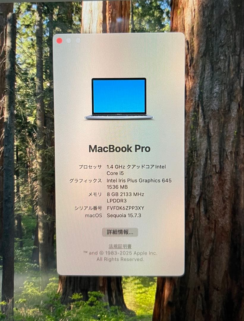 【本体】MacBook Pro 2019 13.3インチ + typeC拡張ハブ