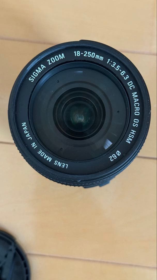 SIGMA 18-250mm F3.5-6.3DC MACRO OS キャノン