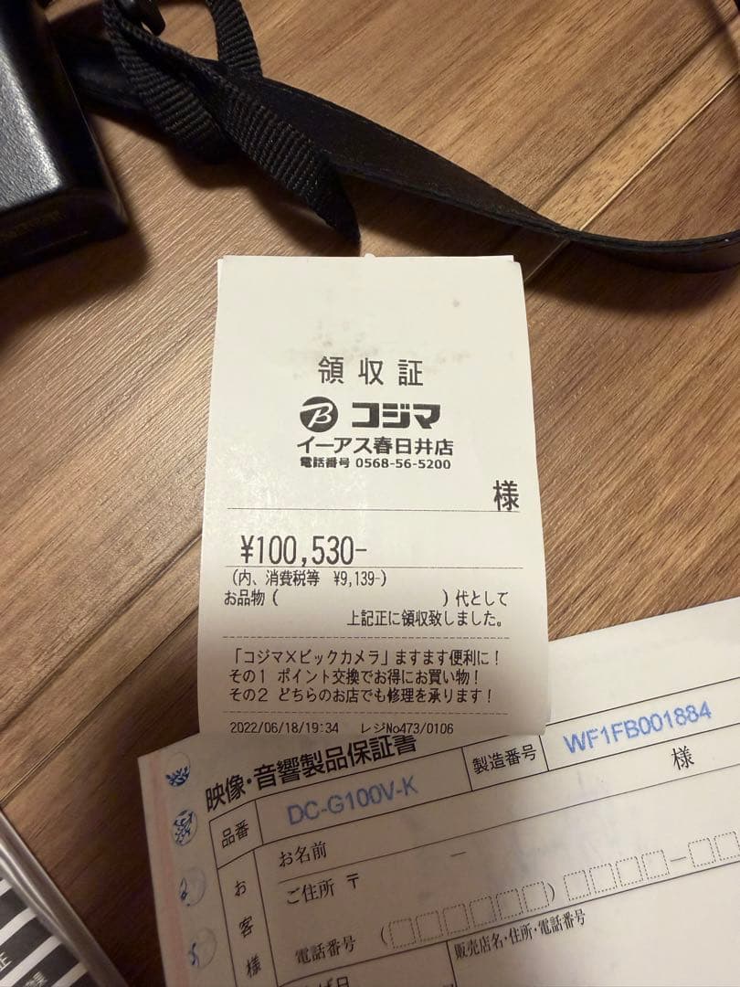 Panasonic DC-G100V ミラーレスカメラ