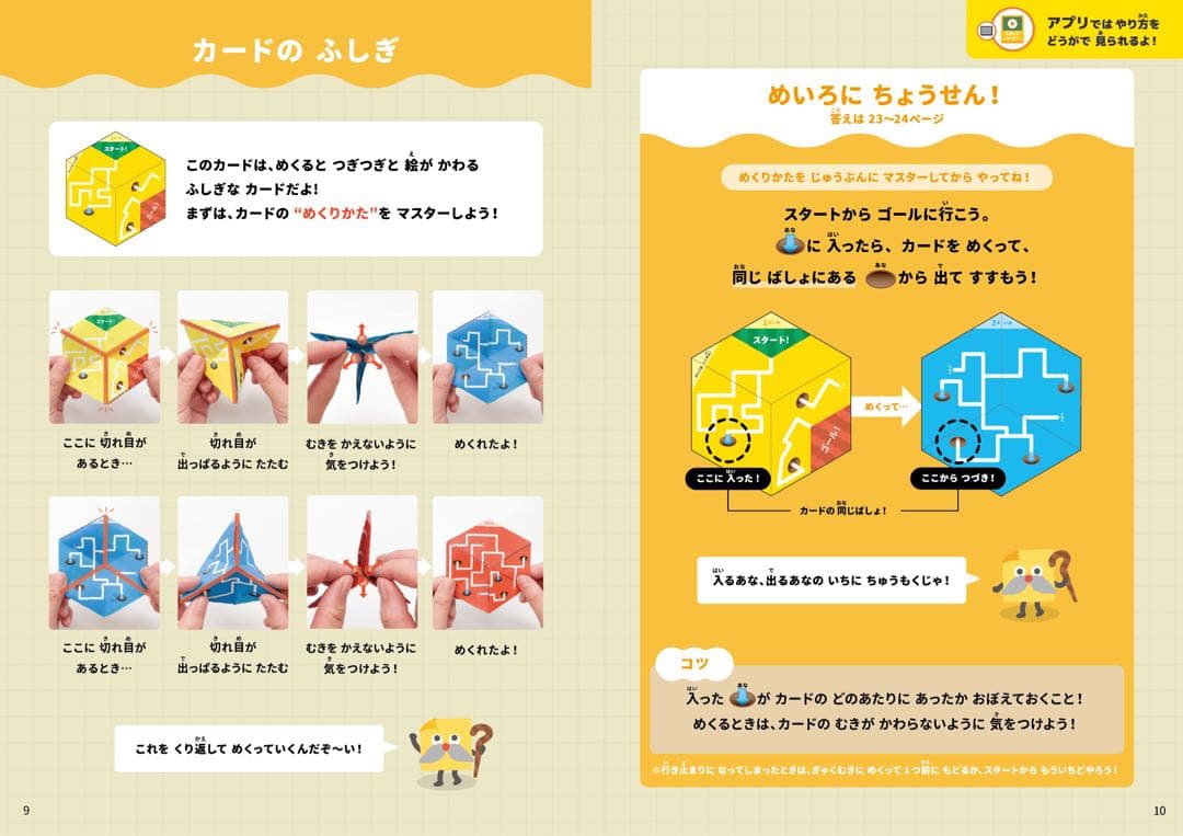 ワンダーボックス　特別エキスパートコース　8ヶ月分