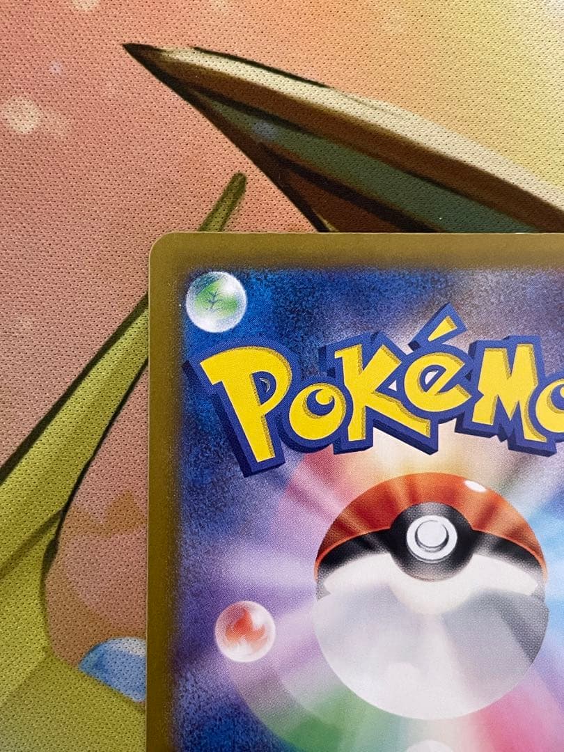 【ローダ付】 リザードンex SAR SV3 黒炎の支配者 134/108 1枚