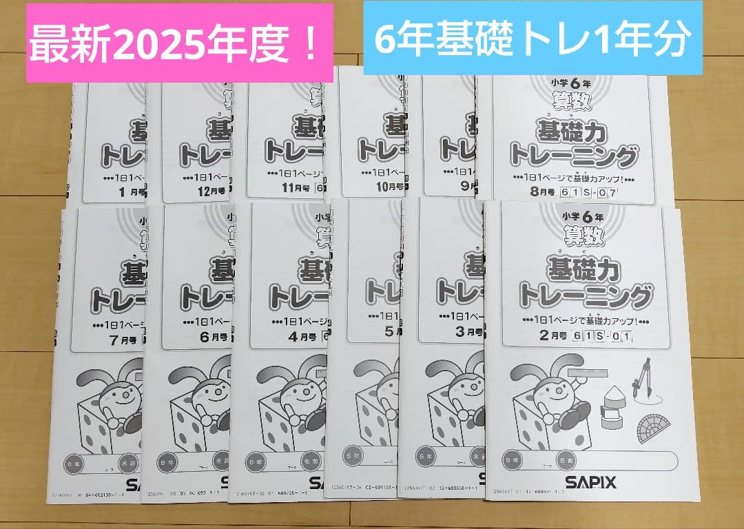 最新★書き込みなし★SAPIX基礎力トレーニング★6年生