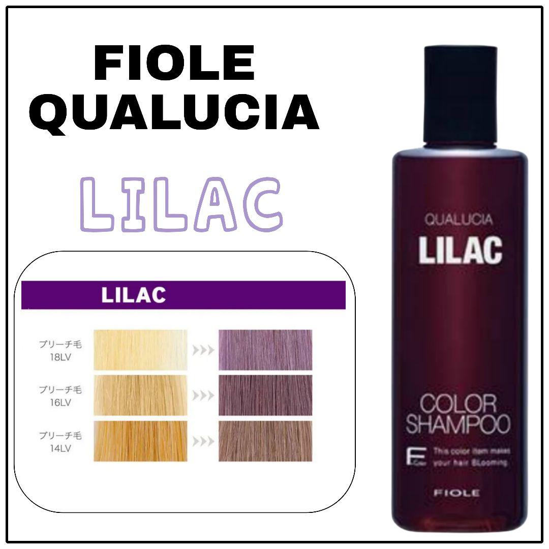 M✩°。⋆⸜(*˙꒳˙* )⸝  クオルシア ライラック 6本セット