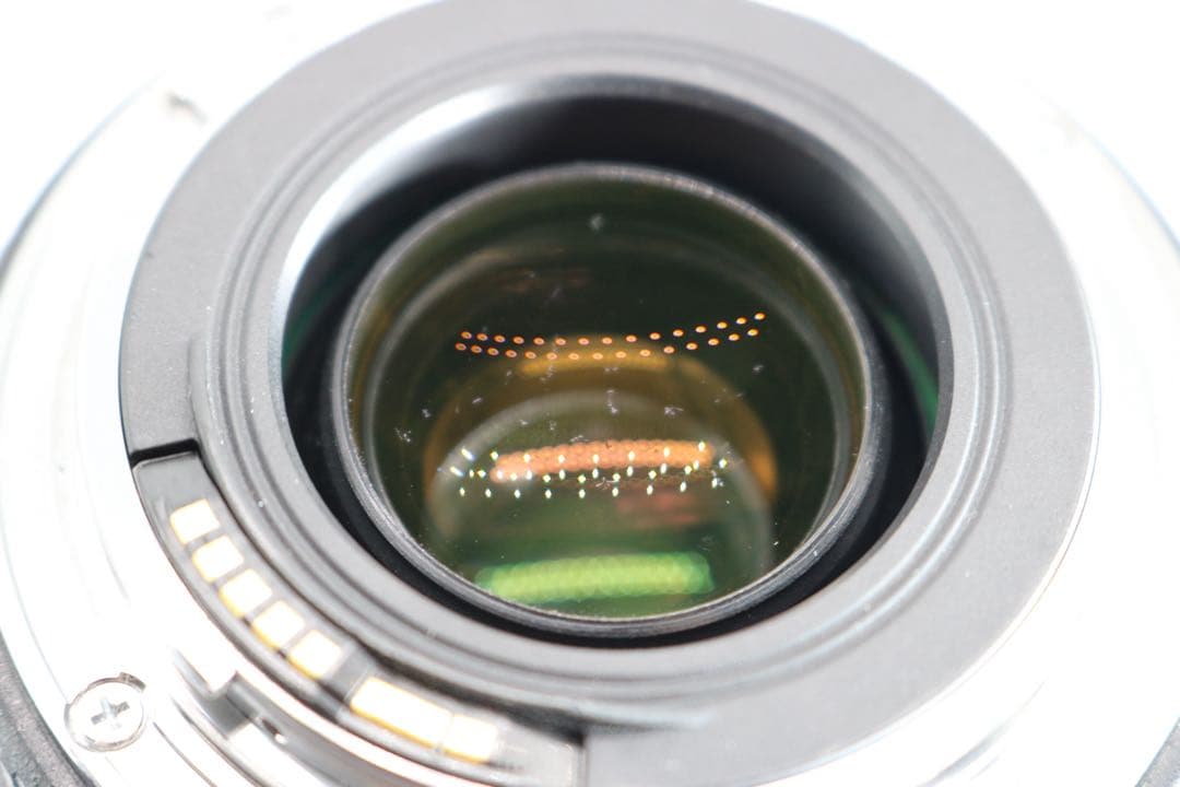 美品　【Canon EF 70-300mm F4-5.6 IS USM】 保証◎