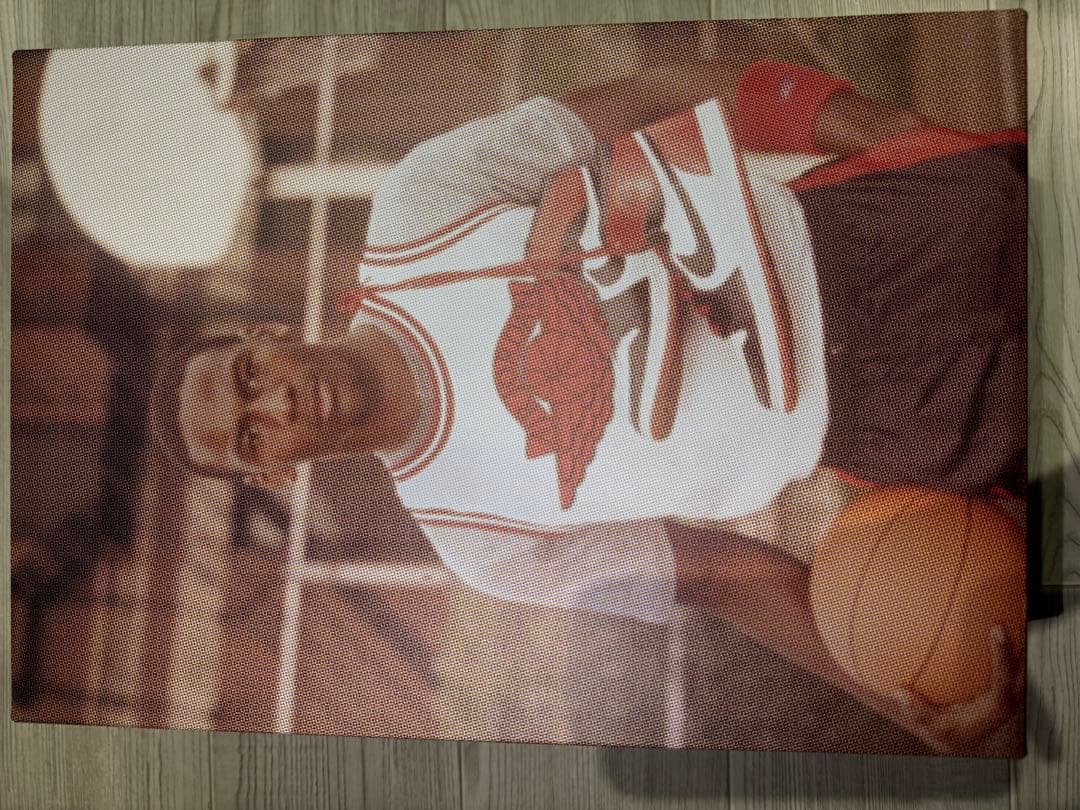 Nike Air Jordan 1 ハイカット シューズ