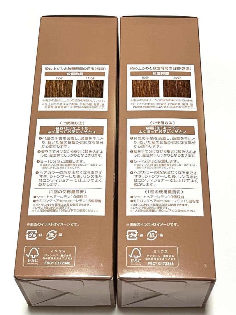 ヘアボーテ エクラ ボタニカル エアカラーフォーム EX ライトブラウン×2本