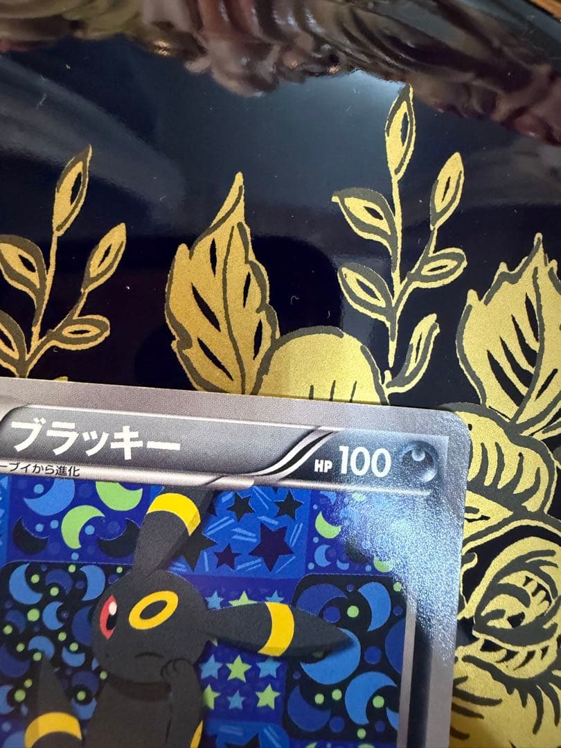 ブラッキー188/BW-P