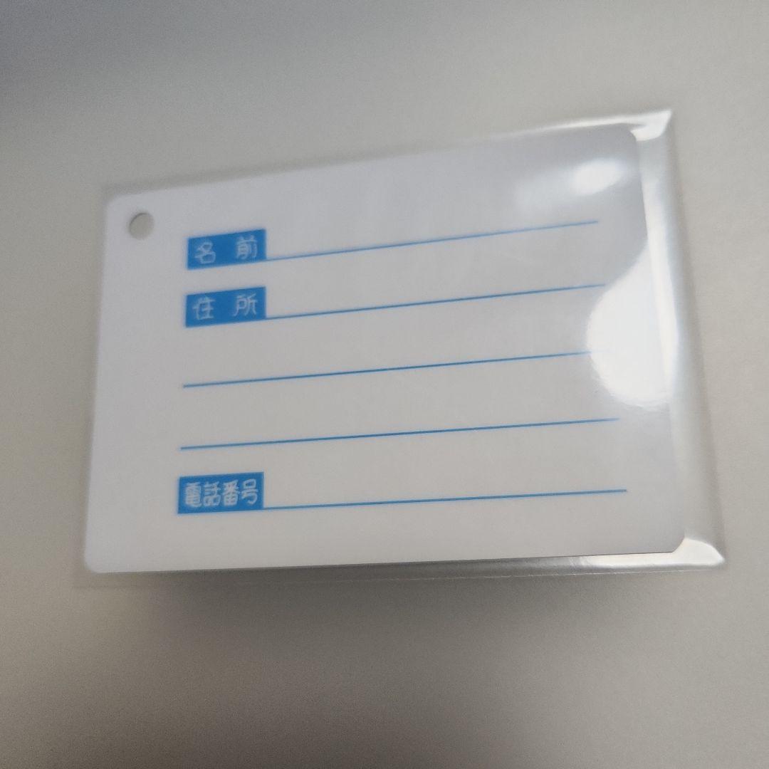 バンジョーとカズーイの大冒険 jR記念乗車証