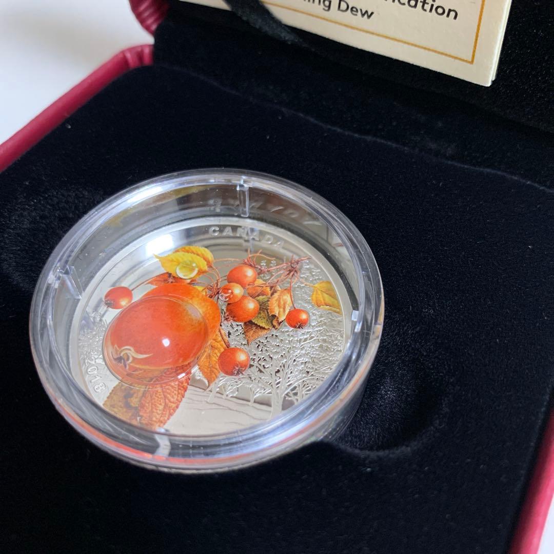 カナダ銀貨　朝露