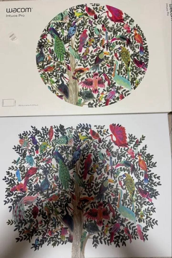 【依頼主】Wacom Intuos Pro Mサイズ