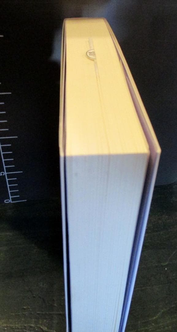 天言鏡 : 出口王仁三郎最期の神示