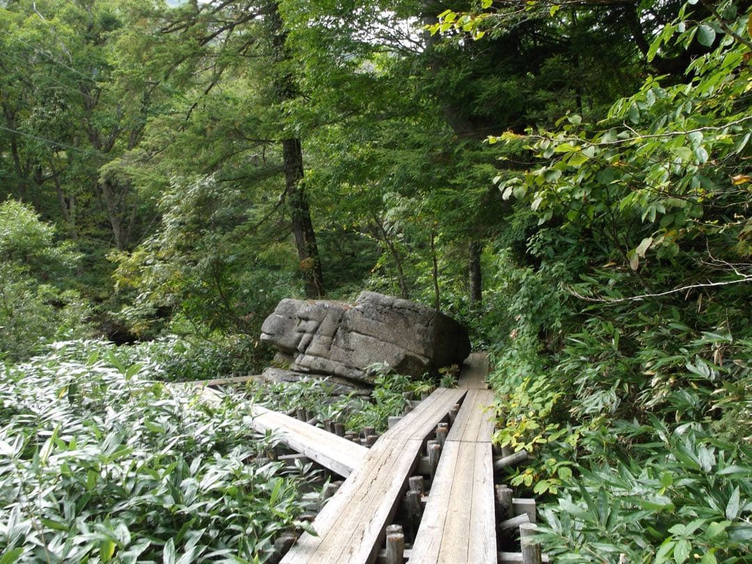 FUJIFILM FinePix AX600 （コンデジ）