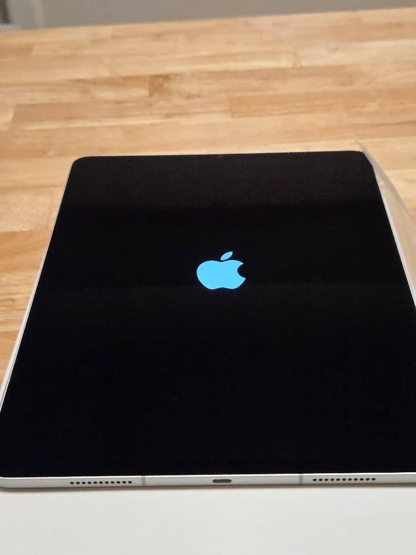 iPad Pro 12.9 スペースグレー 128GB (5世代、セルラー)