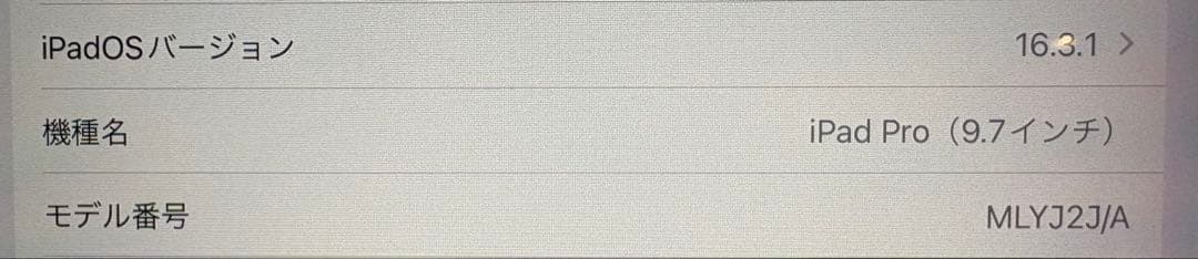 iPad Pro 9.7インチ 32GB ピンク 本体 動作良好