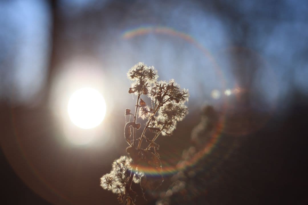 Super-Takumar 55mm F1.8 前期型 S/N：1235298