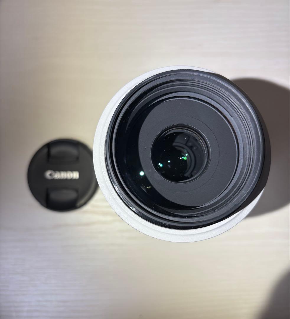 Canon EF 70-300mm f4-5.6L IS USMマウントアダプタ