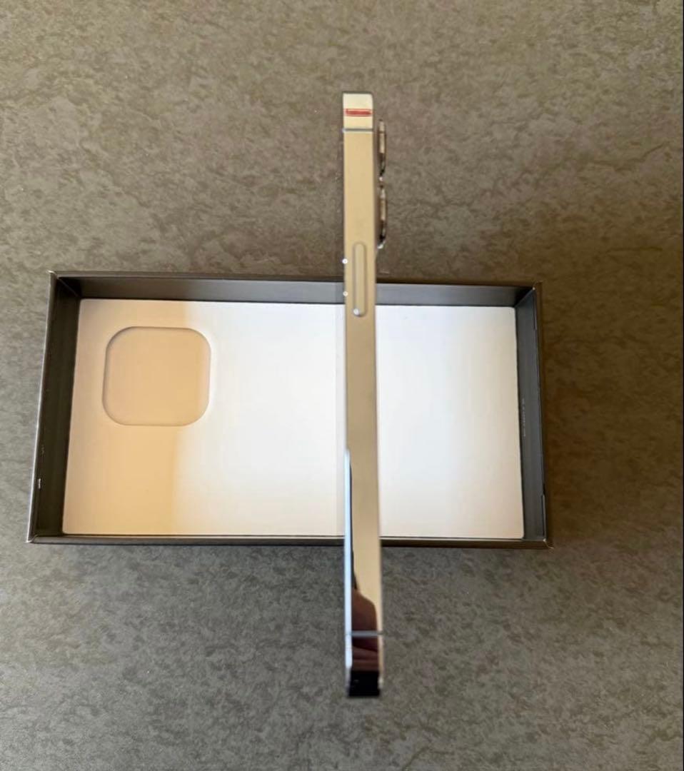 iPhone 13 Pro シエラブルー　256G SIMフリー