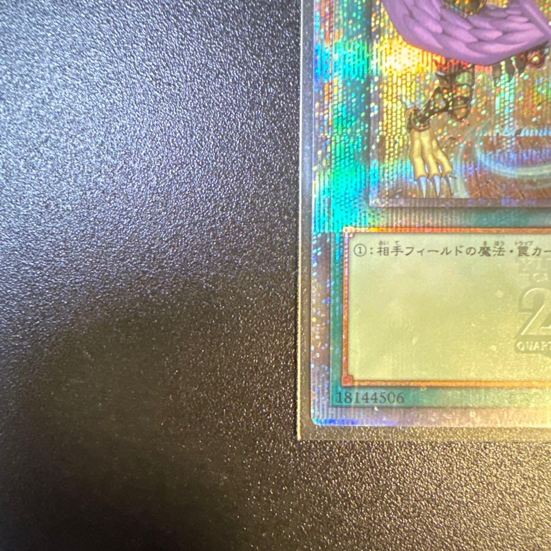 ハーピィの羽根箒　絵違い25th