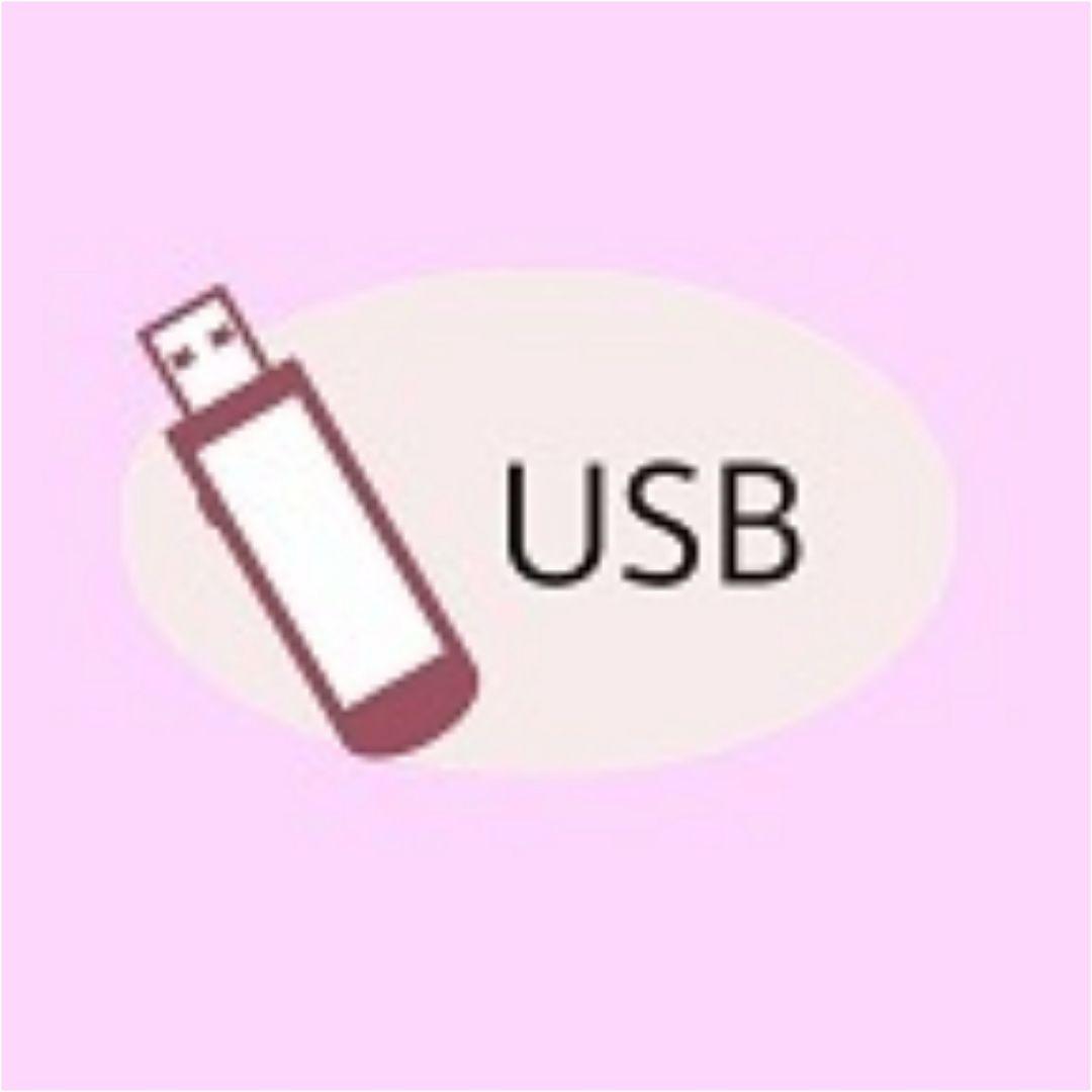 ❤最新最上級／USBダウンロード★シンガー 新品刺繍機 シュシュDX/EU-5