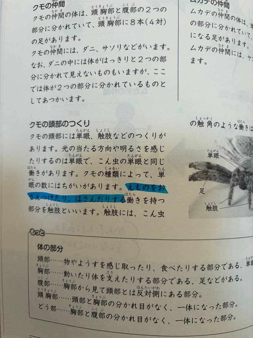 日能研　4年　2024年　前期・後期　4教科テキスト　夏期講習・冬季講習付き